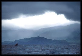 Products and Services